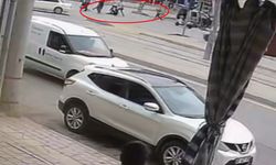 İki grup arasında sopalı kavga