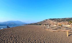 İztuzu Plajı'nda Caretta Yuvası 100'ü Geçti