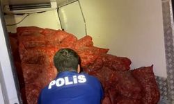 Kaçak Midyeye Yüklü Ceza