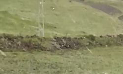 Kars'ta kuvvetli rüzgar korkuttu
