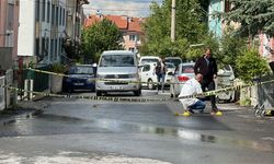 Komşularını Vurdu, Dayak Yedi