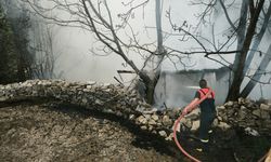 Kümes yangınında 100 tavuk öldü