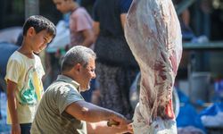 Kurban Bayramı yaklaşırken 'salmonella bakterisi'ne dikkat