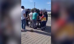 Muğla’da Trafik Kazası