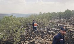 Nusaybin'de otluk yangını