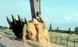 Ölümden Kurtarıldı Doğum Yaptı
