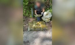 Sakarya'da uyuşturucu operasyonu düzenlendi!