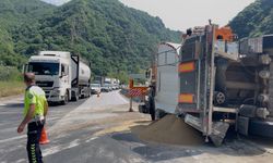 Sakarya'da yem yüklü TIR devrildi