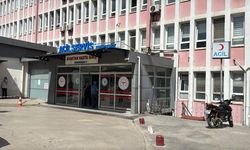 Samsun'da tavuktan zehirlenen işçi sayısı yükseliyor