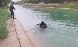 Sulama Kanalına Düşen Ali Aranıyor