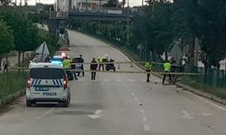 Yaya Geçidinde Kamyonet Çarptı