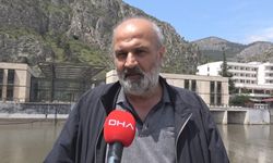 Yeşilırmak'ta oksijen bitti, balıklar ölüyor