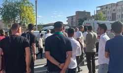 Yumruklu kavgada 3 kişi yaralandı