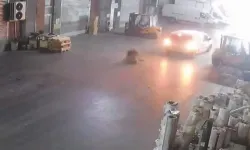Manevra yaparken kaza yaptı
