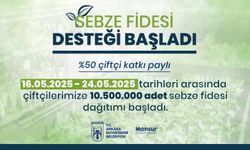 Büyükşehirden Fide Desteği