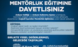 Çubuk'ta Coğrafi İşaretler Mentörlük Eğitimi