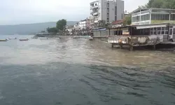 Gemlik Körfezi'nde müsilaj sorunu