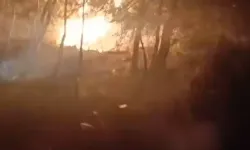 İzmir'de orman yangını çıkaran 5 defineci tutuklandı
