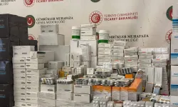 Kapıkule Sınır Kapısı'nda denetim