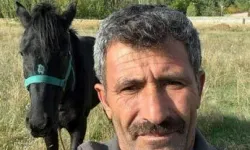 Kaybolan atını arıyor