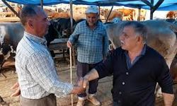 Kurbanlıkların yarısı satıldı
