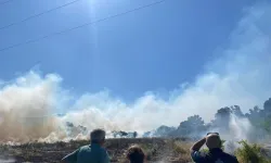Muğla'da 5 dönüm alan zarar gördü