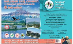 Nallıhan'da 8. Fotosafari Yarışması