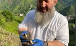 Temizlik yaparken yılan buldu