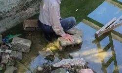 Düştüğü kanaldan itfaiye yardımıyla kurtuldu