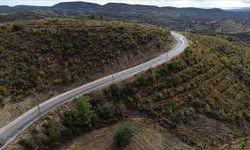Manavgat'ta davayı kazanan hissedarlar yolu ulaşıma kapattırdı