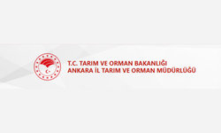 TOHUM SATIN ALINACAKTIR
