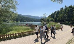 Bolu'daki Tabiat ve Milli Parklara Yoğun İlgi