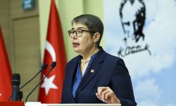 CHP Genel Başkan Yardımcısı Şahbaz: Bir Halk Sağlığı Felaketi
