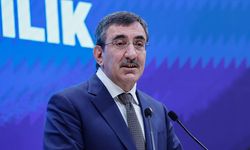 Cumhurbaşkanı Yardımcı'ndan mayıs enflasyonu değerlendirmesi