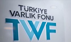 Kamu Sigorta ve Emeklilik Şirketlerine Ne oldu?