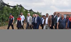 Karaman'da elma bahçelerini incelediler