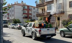 Pursaklar Belediyesi'nden haşerelerle mücadele çalışması