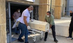 Sivas'ta Kene Can Aldı