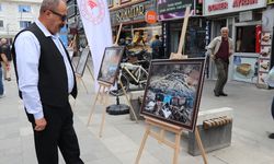 Yozgat'ta orman temalı sergi