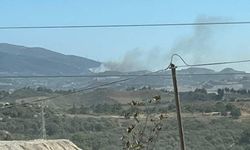 Antakya'da orman yangını