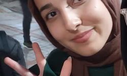 Arı paniği ölüme sebep oldu