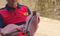 Karga Banyoda 2 Gün Boyunca Mahsur Kaldı