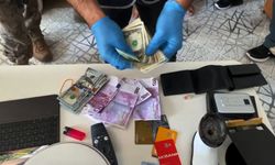 Bilecik'te suç örgütüne operasyon
