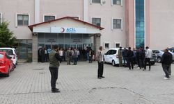 Bingöl’de kamyon ve hafif ticari araç çarpıştı