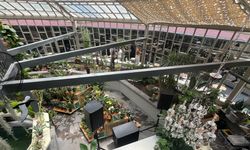 Botanik Sera’da Kadınlar İçin İstihdam