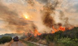 Çanakkale'deki Yangınlar İçin 6 Kişi Gözaltına Alındı