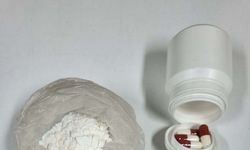 Cezaevinden kaçan firari ertesi gün yakalandı