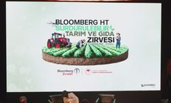 Denetimlerde o gıda ürünleri imha ediliyor