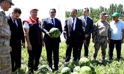 Iğdır'da Çiftçinin Beklediği 4 Hasat Karpuz
