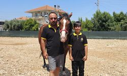 Karnesini atın üstünde aldı